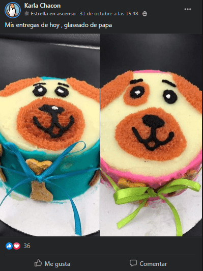 PASTELERIACANINA-02